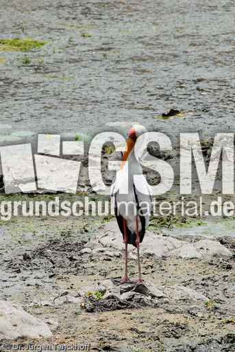 Nimmersatt (3 von 22).jpg